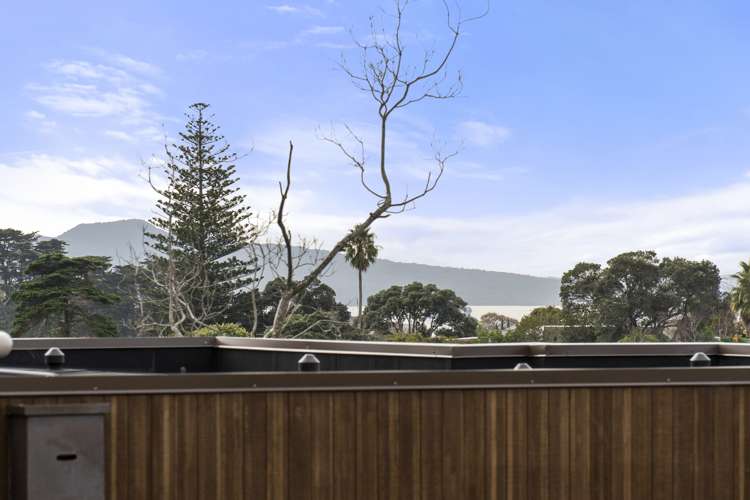 1 John Stokes Terrace Remuera_3