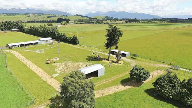 105 Lynwood Road Hillside_4