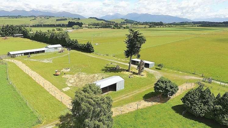 105 Lynwood Road Hillside_4