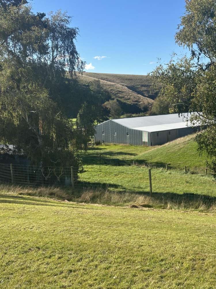 83 Waitahuna Cemetery Road Waitahuna_4