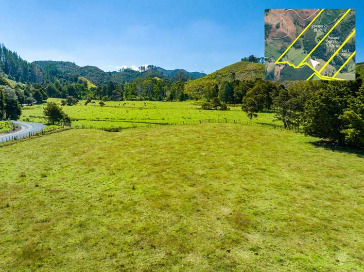 Telfer Road Parua Bay_11