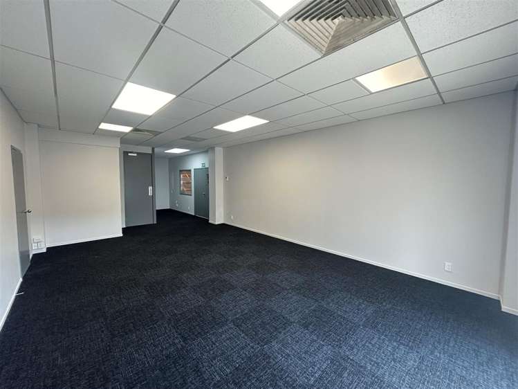 1 McNab Street Penrose_9