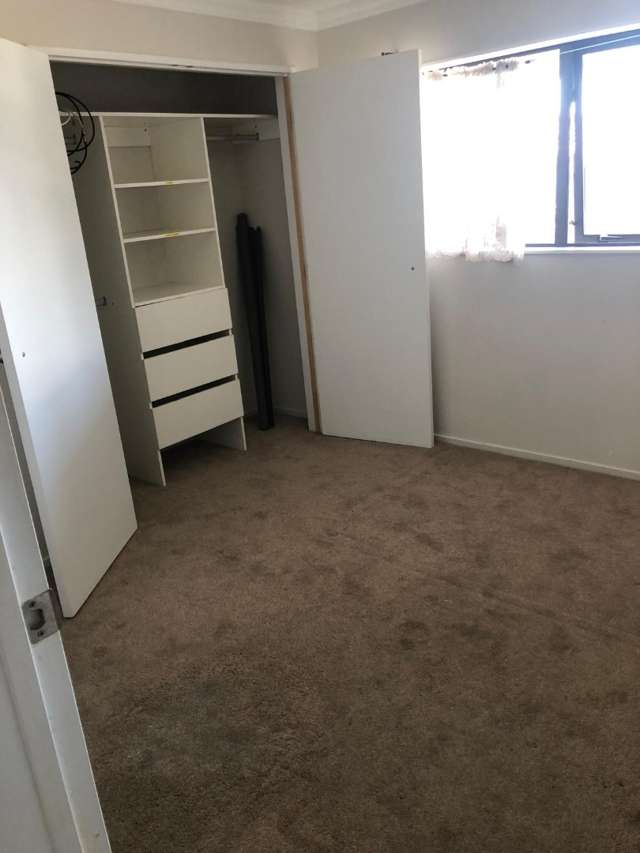 25 Alexia Place Flat Bush_2