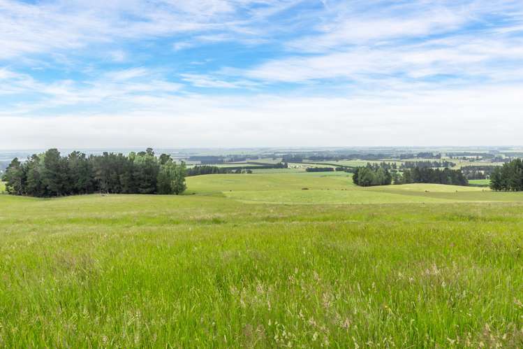 Steeles Road Hororata_15