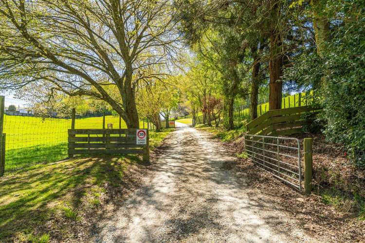 344 Palmer Mill Road Wairakei_25
