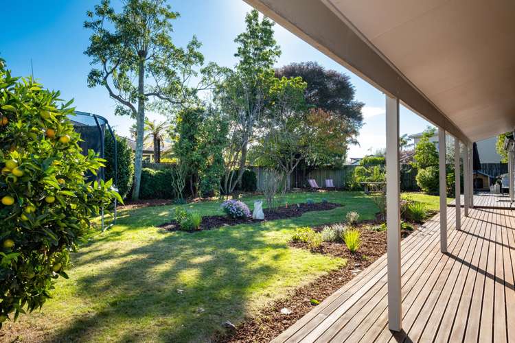 131 Avenue Road Greenmeadows_11