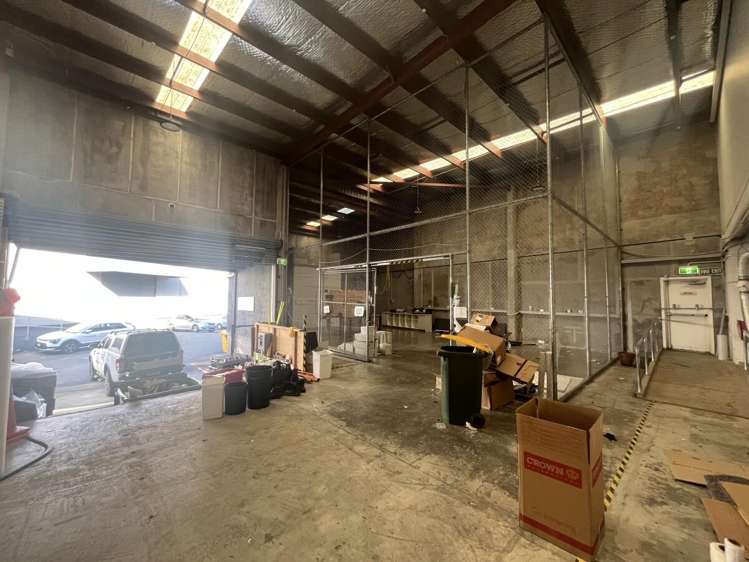 5 Wilkins Street Freemans Bay_12