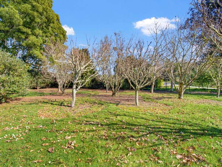 186 Sunset Valley Road Upper Moutere_9