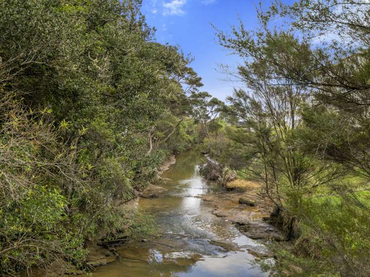 20 Eaves Bush Parade Orewa_28