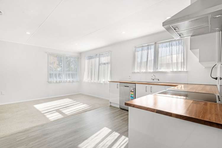 14 McFarlane Place Springlands_2