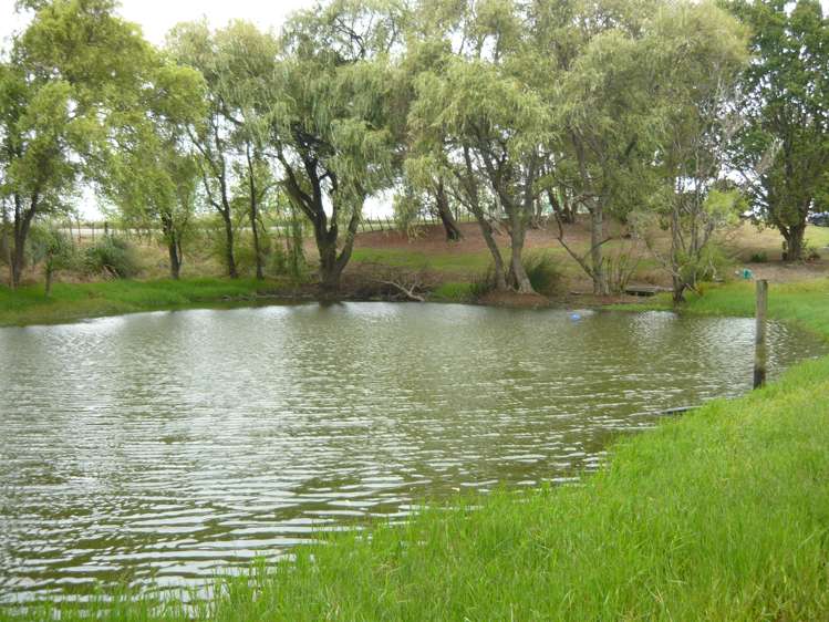 87 Rangiora Road Kaiwaka_5