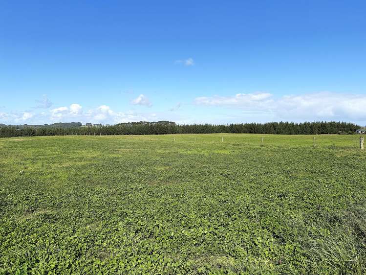 413A Baylys Coast Road Dargaville_5