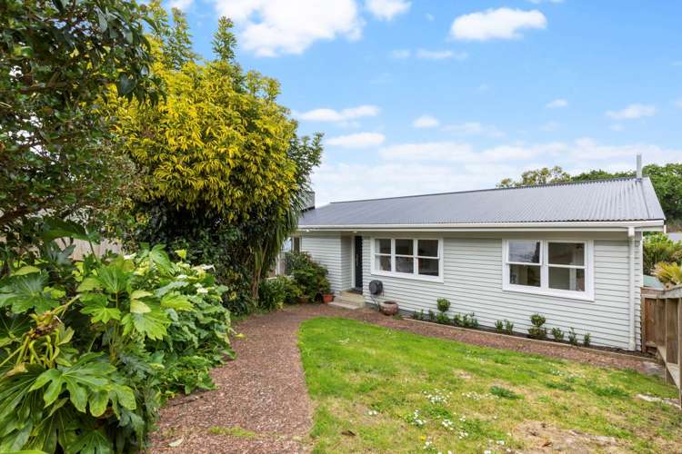 7 Mcilroy Avenue Hillsborough_17