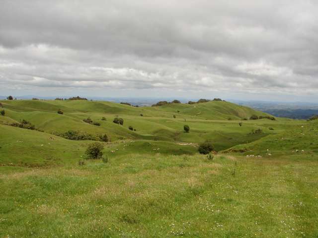 Mahoe Road Waitomo_1