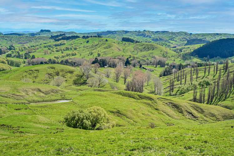 683 Bush Road Wallingford_28