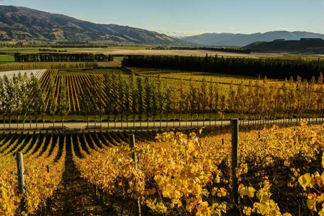 Organic and Bio-dynamic - Quartz Reef Wines