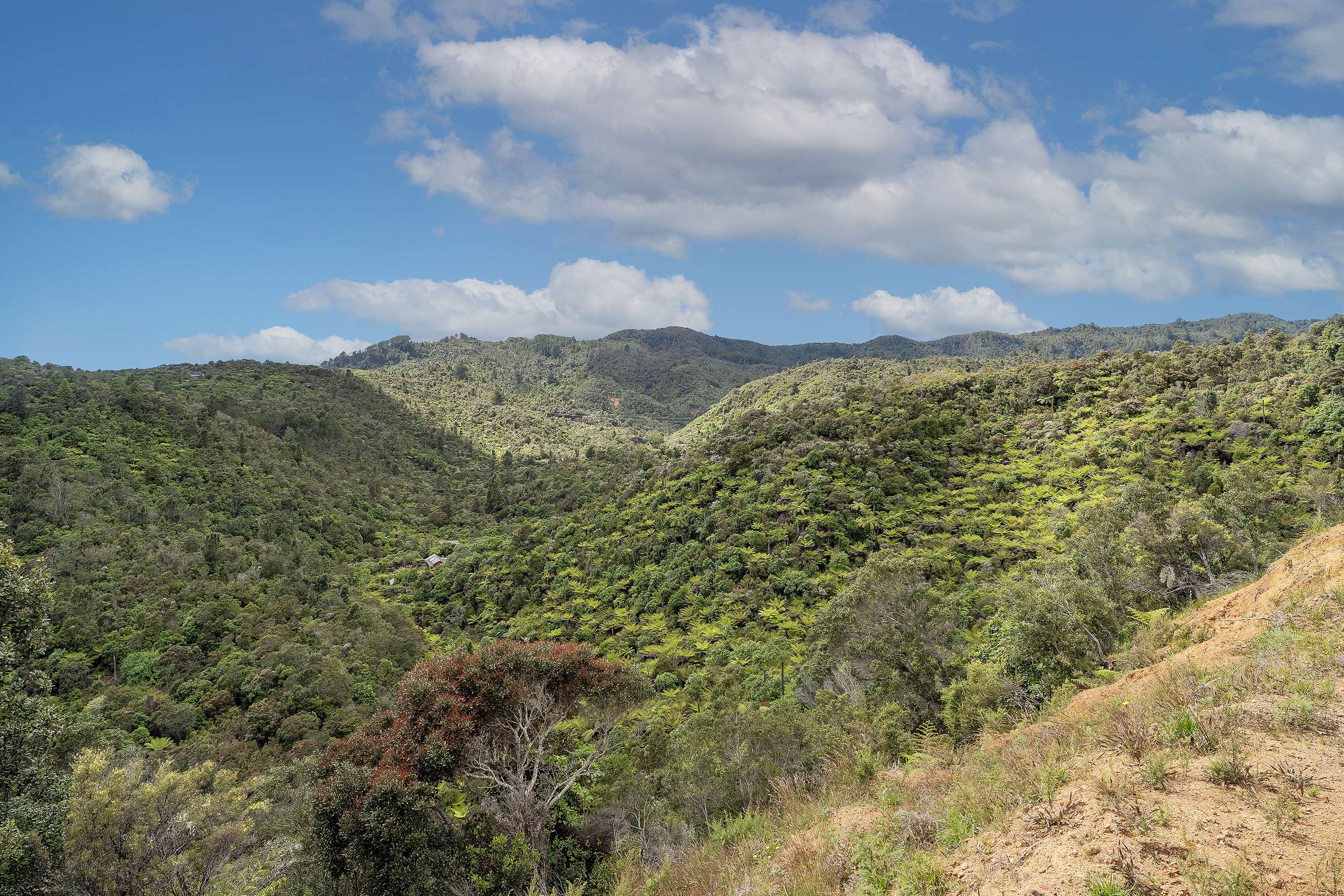 156D Silverstream Falls Row Whenuakite ThamesCoromandel Rural