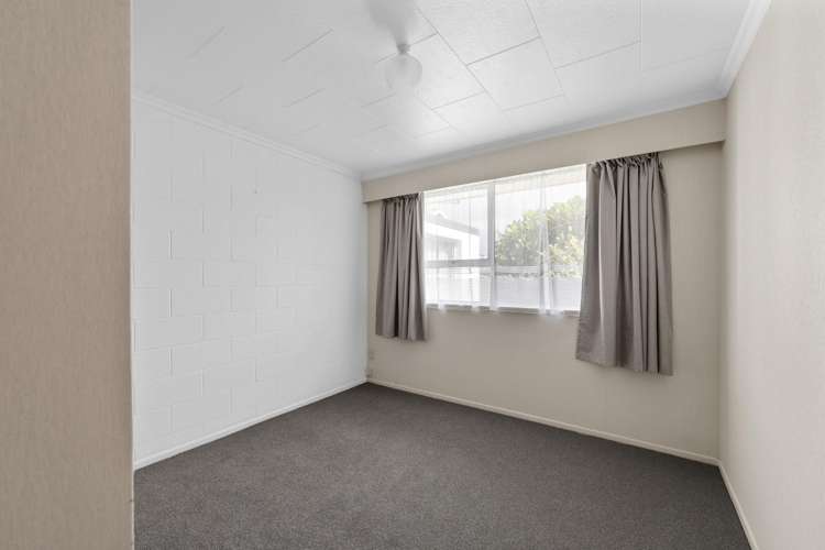 9A Rawhiti Street Vogeltown_7