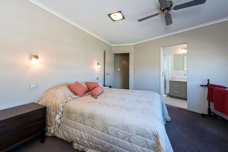 27 Terrace Avenue Mount Maunganui_11