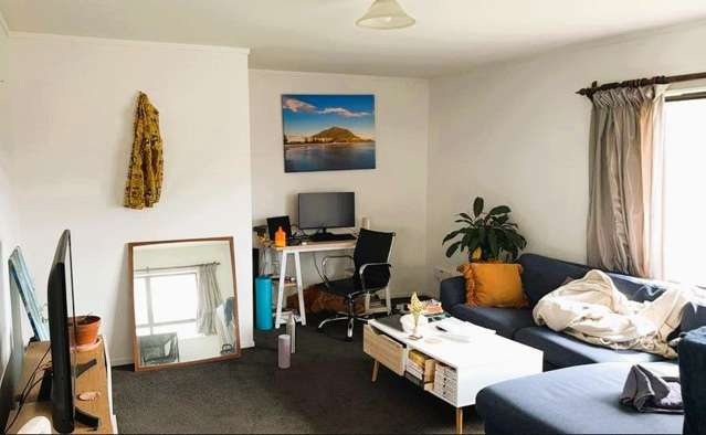 3/8 Terrace Avenue Mount Maunganui_2