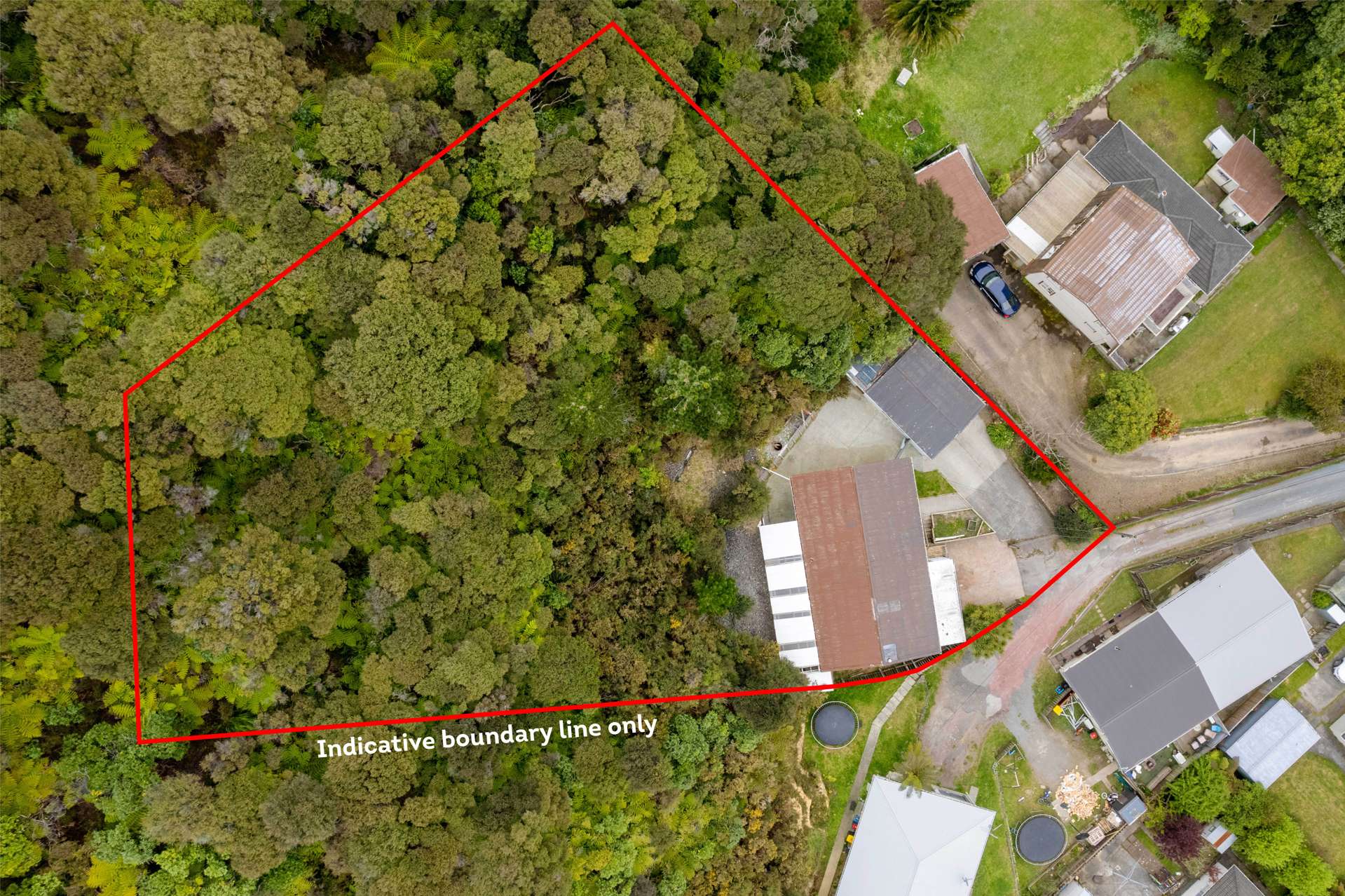 17 Puriri Street Miramar_0