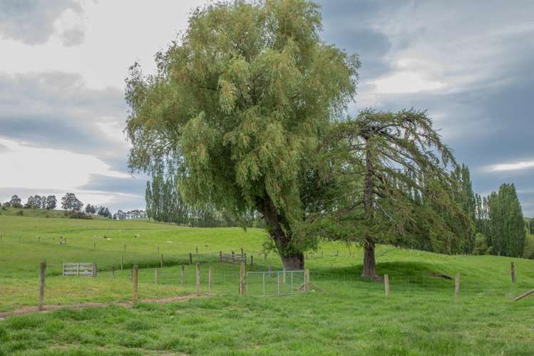 176 Campbells Road Waimate_21