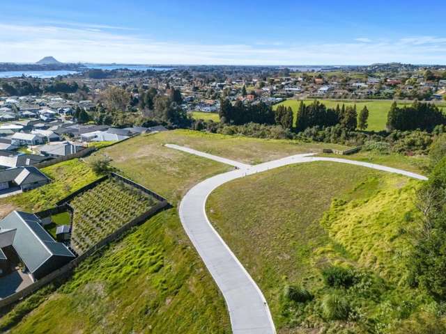 101 Quail Ridge Ohauiti_4