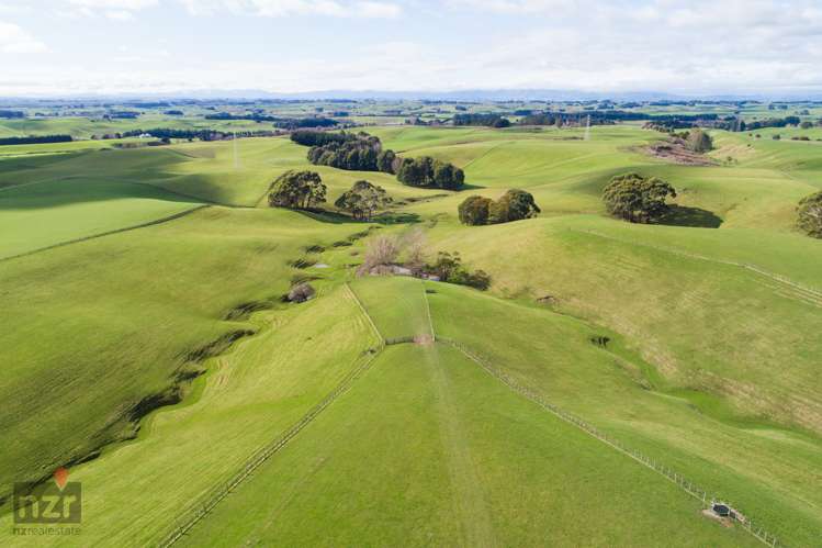 702 Mount Stewart Halcombe Road Halcombe_4