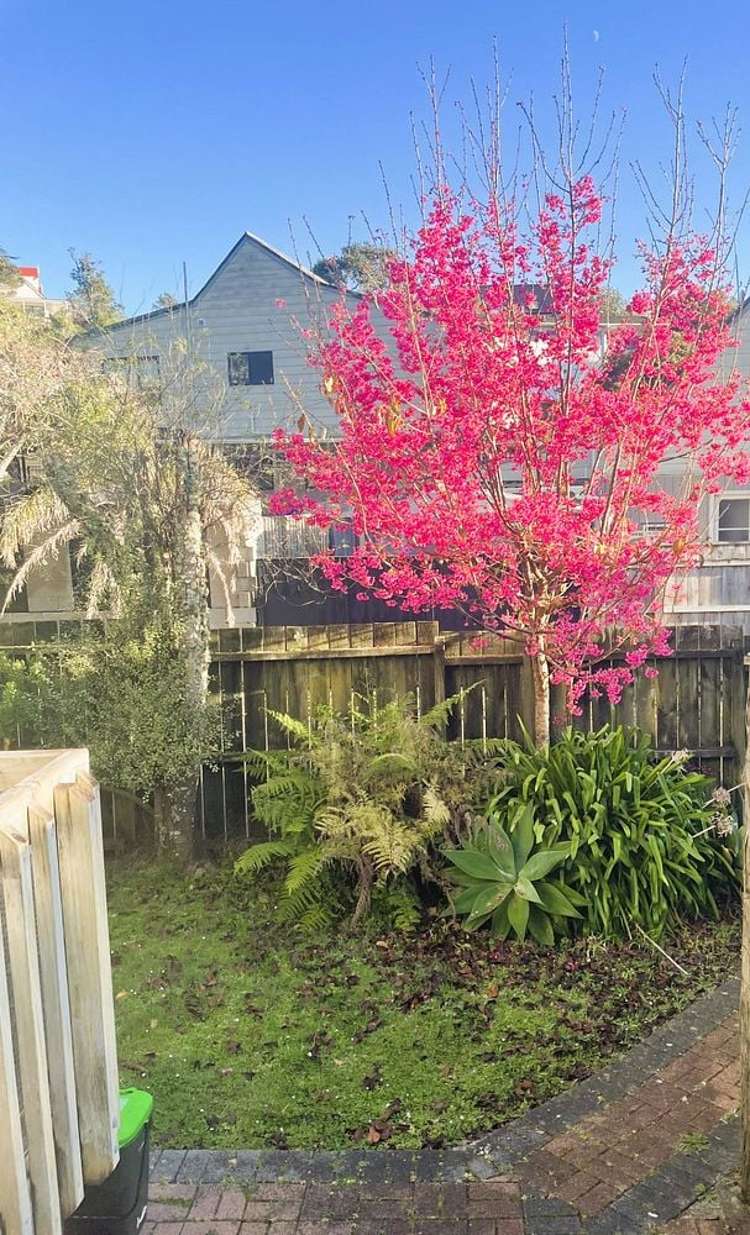 97 Avenue Road Otahuhu_9