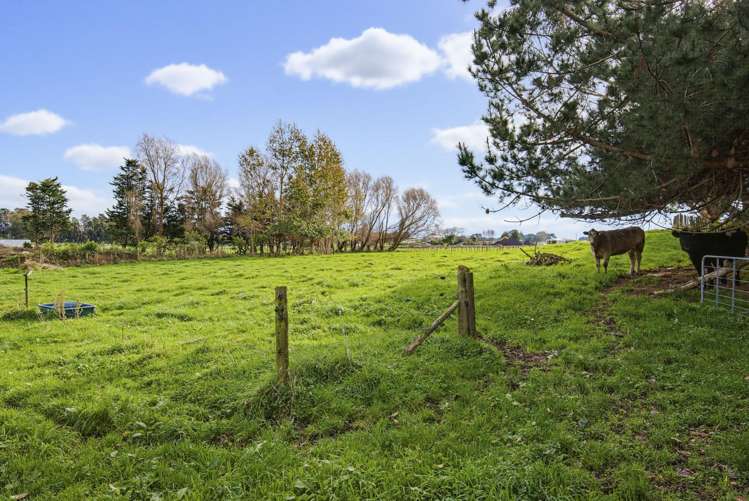 36 Painua Road Hokio Beach_15