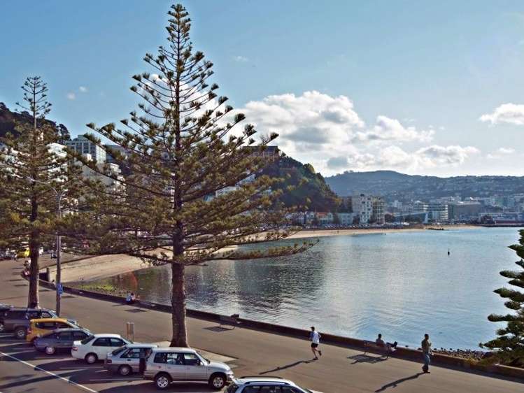 298 Oriental Parade Oriental Bay_1