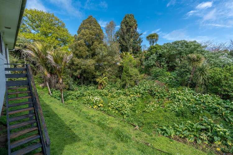 8A Park Terrace Hamilton Central_14