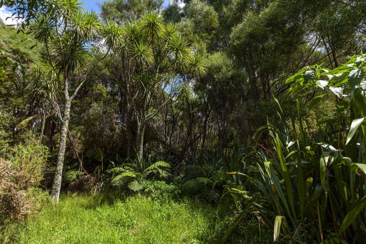 284 Taylor Road Taipa_18