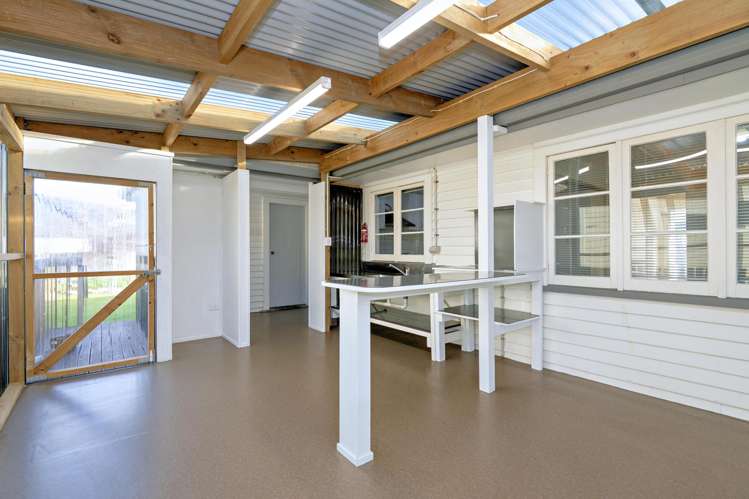 28a Union Street Opotiki and Surrounds_18