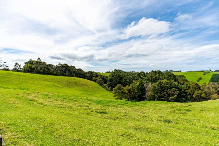 39a Cemetery Road Te Arai_18