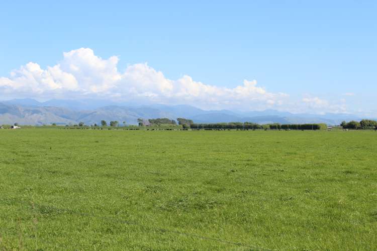 1372 Rangitane Road Tiakitahuna_11