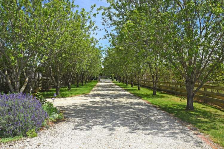 29 Weld Street Martinborough_19