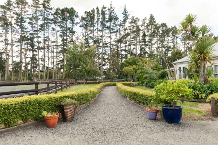 65 Green Road Dairy Flat_9