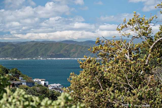 214 Barnard Street Wadestown_3