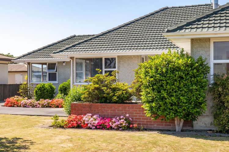 238 Kennedy Road Onekawa_21