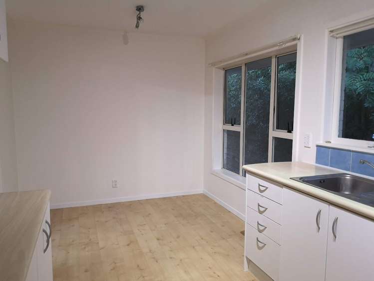 54a Francis Street Hauraki_6