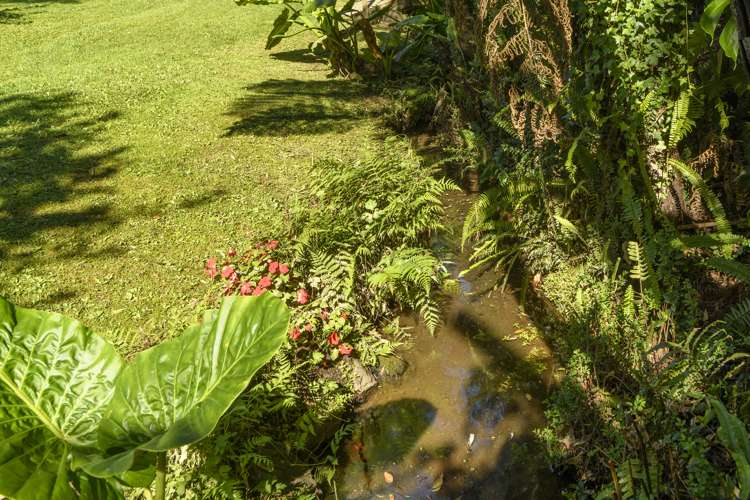 95 Sherwood Street Bellevue_29