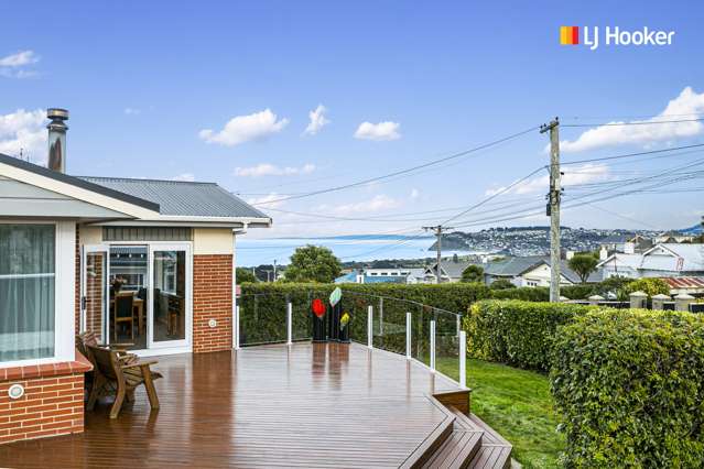 36 Oakland Street Andersons Bay_1