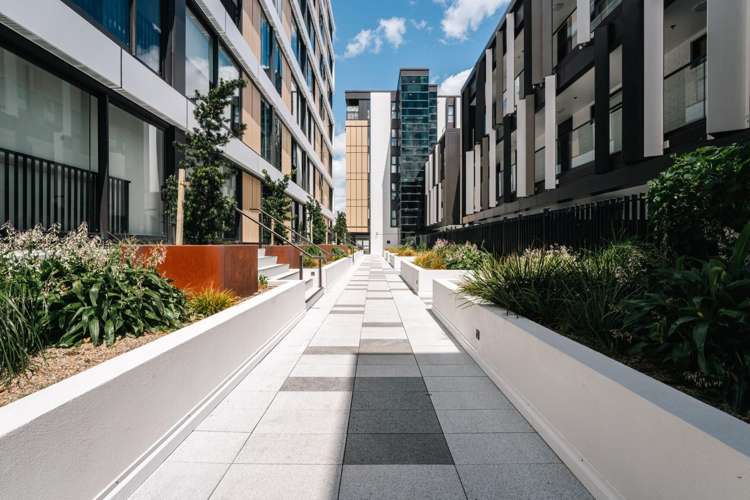 611/2A Munroe Lane Albany_15