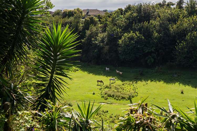 17 Randell Place Te Puke_10