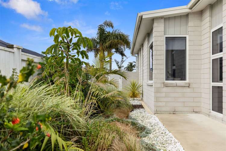 60b The Boulevard Papamoa_0