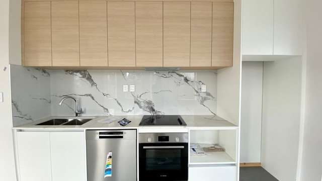 19 Whautapu Court Avondale_1