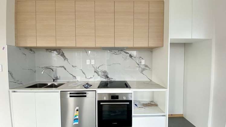 19 Whautapu Court Avondale_1