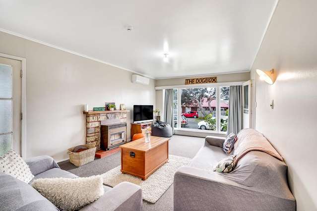 20 Hogan Street Hamilton East_4