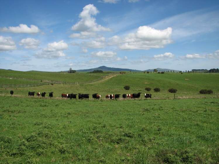 205 Gunn Road Waharoa_0